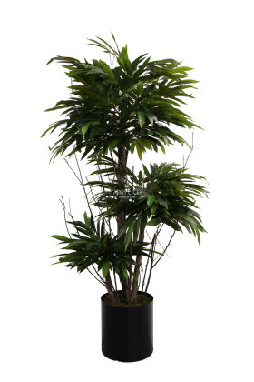 Fiber Saksıda Yapay 3 Gövdeli Mango Ağacı 180 cm - 4
