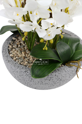Fiber Stone Saksıda Lüx 6lı Orkide Beyaz - 3