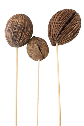 3 Boy Mintola Ball 40 cm Naturel - 1