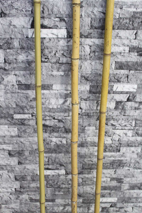 Doğal Gerçek Bambu 115 cm - 1