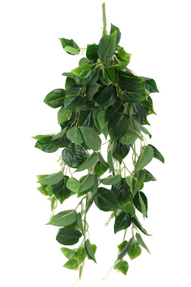Gerçek Dokulu Islak Lüx Sarmaşık 100 cm Sivri Model - 1