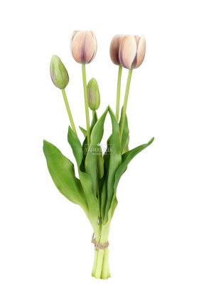 Gerçek Dokulu Lüx 5 Dallı Coquette Tulipa Lale Buketi Kapiçino - 3