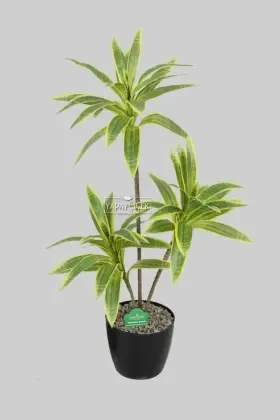 Yapay Ağac Dracena 3 Dallı Gerçek Dokulu 75 cm - 1