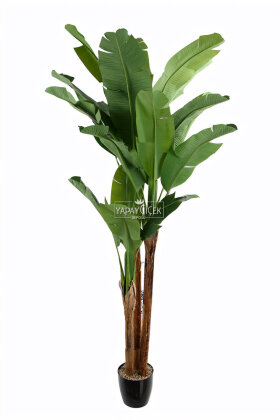 Yapay Ağaç 3 Gövde Tropik 22 Yapraklı Muz Gerçek Doku 240 cm - 3