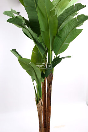 Yapay Ağaç 3 Gövde Tropik 22 Yapraklı Muz Gerçek Doku 240 cm - 5