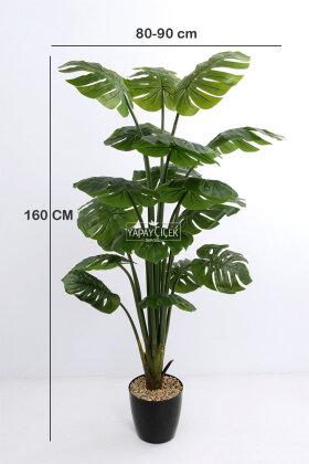 Yapay Lüx Premium Deve Tabanı Ağacı 160 cm - 3