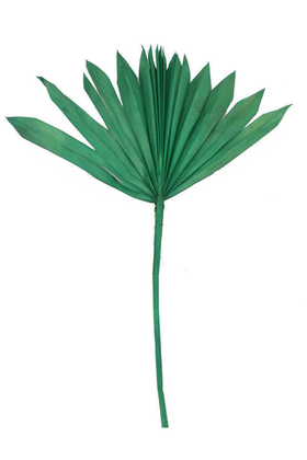 Kuru Tropic Palmiye Yaprağı 40 cm Yeşil - Yapay Çiçek Deposu