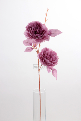 Yapay 2 Güllü Şakayık Çiçeği Dalı 77 cm Gül Kurusu - 2