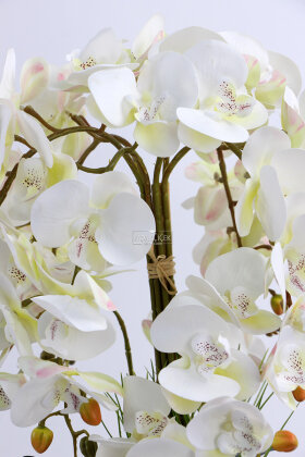 Metal Gümüş Saksıda Lüx 10lu Orkide Beyaz - 3