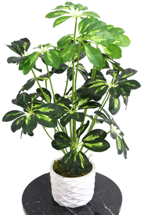 Yapay Beton Saksıda18 Dallı Lüx Şeflera Bitki 65cm (Schefflera) Açık Yeşil - Yapay Çiçek Deposu