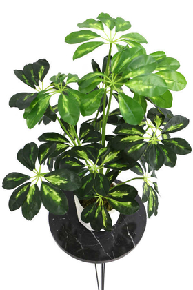 Yapay Beton Saksıda18 Dallı Lüx Şeflera Bitki 65cm (Schefflera) Açık Yeşil - 4
