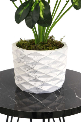 Yapay Beton Saksıda18 Dallı Lüx Şeflera Bitki 65cm (Schefflera) Açık Yeşil - 5