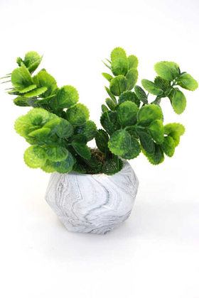Dekoratif Geometrik Beton Saksıda Yeşillik Tanzimi 16cm Yeşil - 1