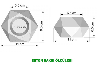 Dekoratif Geometrik Beton Saksıda Yeşillik Tanzimi 16cm Yeşil - 4