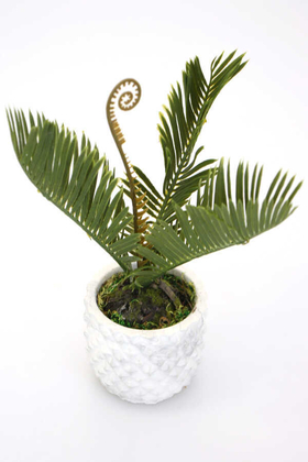 Handmade Saksıda Yapay Mini Ananas Bitkisi 20 cm - 2