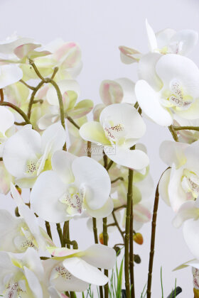 Dekoratif Ahşap Saksıda Orkide Tanzimi Beyaz - 3