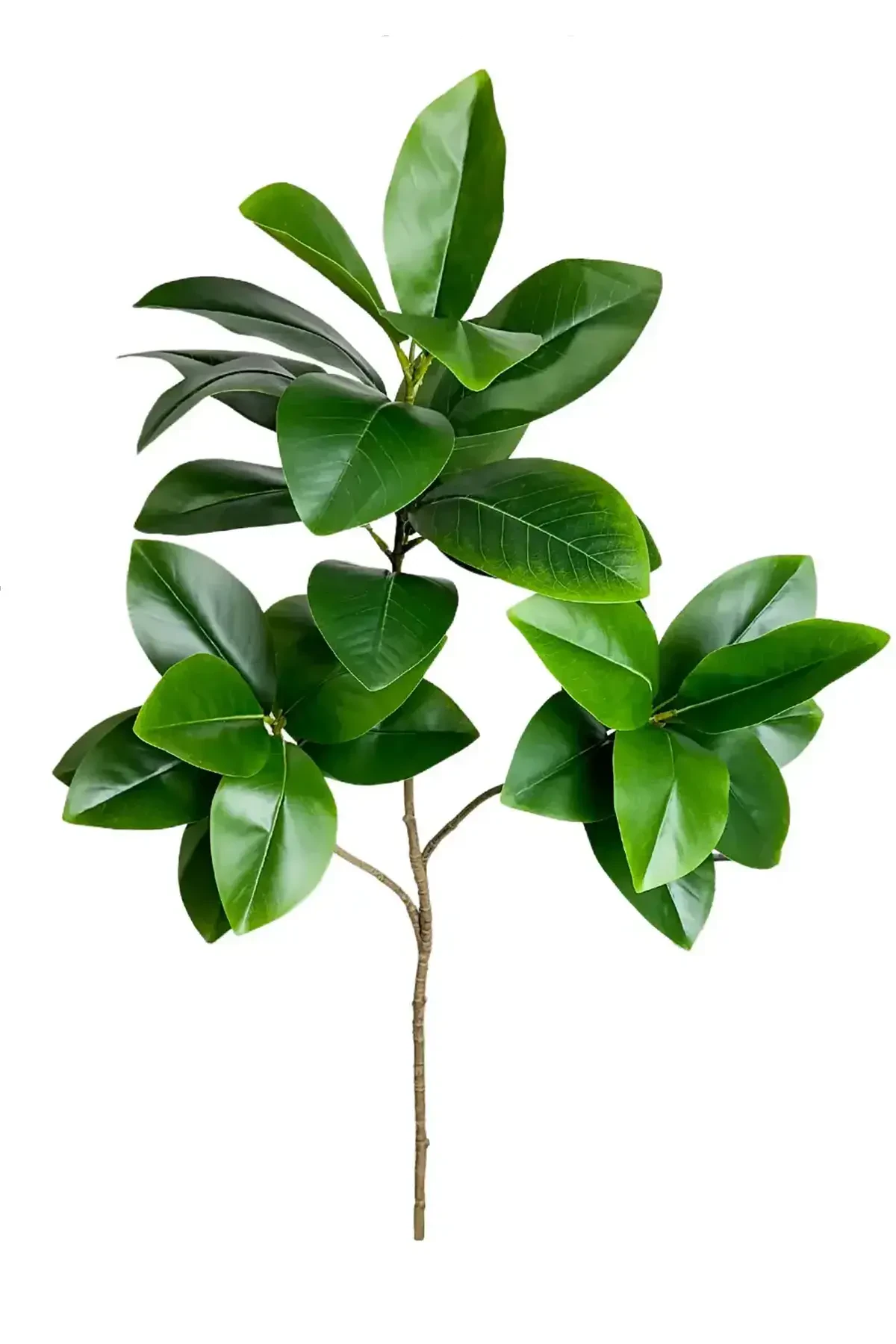 Yapay Ağac Kauçuk Bitkisi 3 Dallı 135 cm (Saksısız) - Yapay Çiçek Deposu