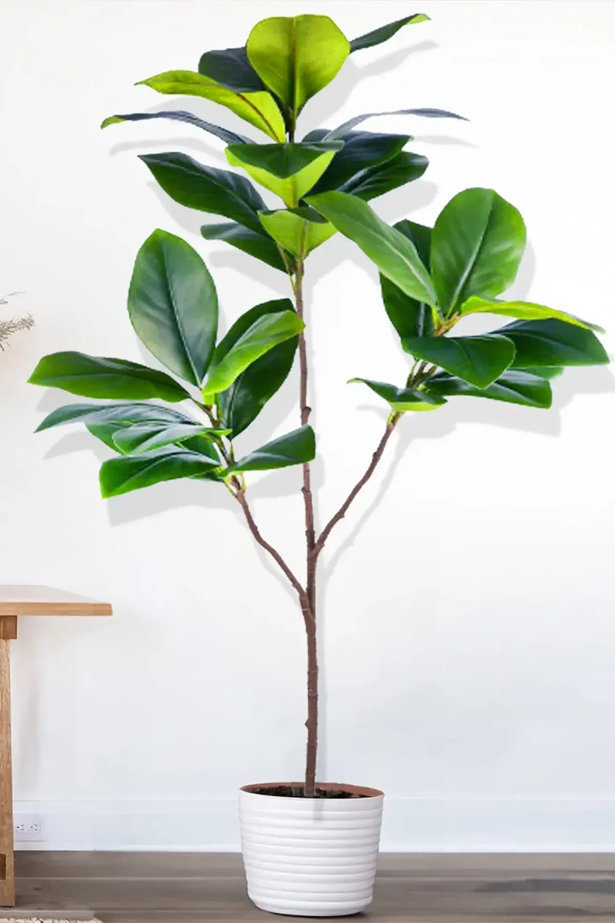 Yapay Ağac Kauçuk Bitkisi 3 Dallı 135 cm (Saksısız) - 4