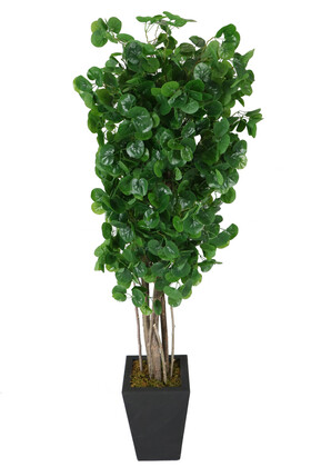 Yapay Şemsiye Ağacı Islak Dokulu Yeşil 180 cm Hydrocotyle Verticillata - 1