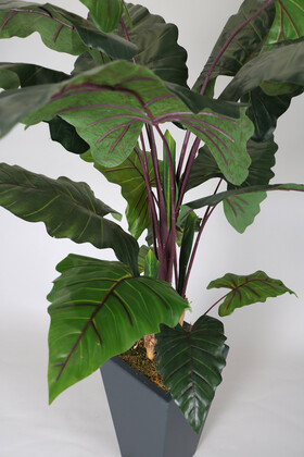 Yapay İri Yapraklı Alocasia Bitkisi 190 cm - 3