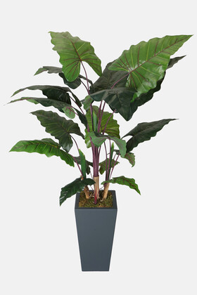 Yapay İri Yapraklı Alocasia Bitkisi 190 cm - 1
