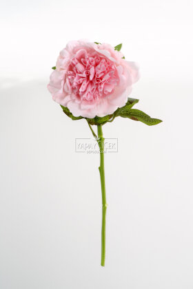 Yapay Islak Açmış Premium Şakayık Dalı 58 cm Pembe - 3