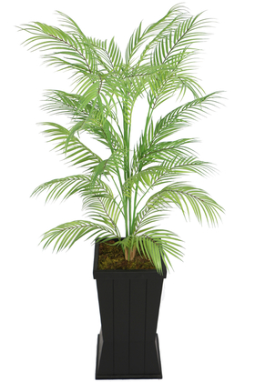 Islak Dokulu 30 Yapraklı Fenix Ağacı 140 cm - 2