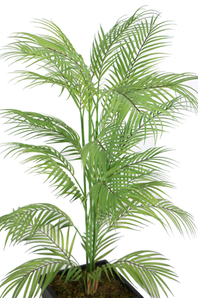 Islak Dokulu 30 Yapraklı Fenix Ağacı 140 cm - 3