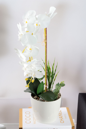 Saksıda Yapay Baskılı Islak Orkide 55 cm Beyaz Sarı - 1