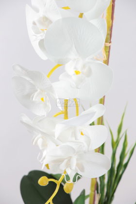 Saksıda Yapay Baskılı Islak Orkide 55 cm Beyaz Sarı - 2