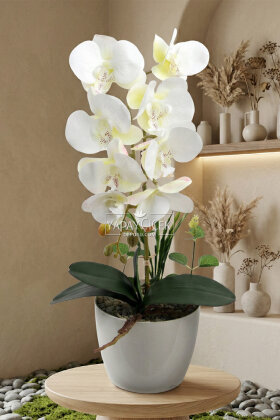 Saksıda Yapay Baskılı Islak Orkide 55 cm Beyaz - Yapay Çiçek Deposu