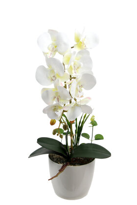 Saksıda Yapay Baskılı Islak Orkide 55 cm Beyaz - 2