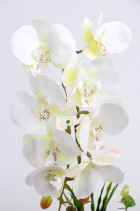Saksıda Yapay Baskılı Islak Orkide 55 cm Beyaz - 3