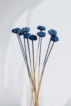 10lu Paras Ped Bleach on Stem 45 cm Lacivert - 2