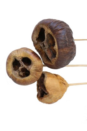 Kuru Çiçek 3 Boy Tolami 45 cm - 2