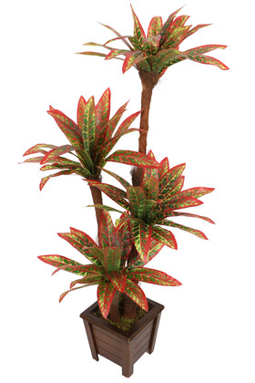 Bodur Yapay Ağaç Cordyline 120 cm Model 1 - 1