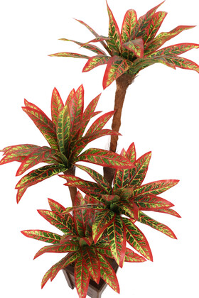 Bodur Yapay Ağaç Cordyline 120 cm Model 1 - 2