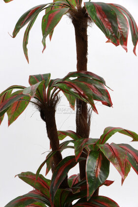Bodur Yapay Ağaç Cordyline 120 cm Model 1 - 5