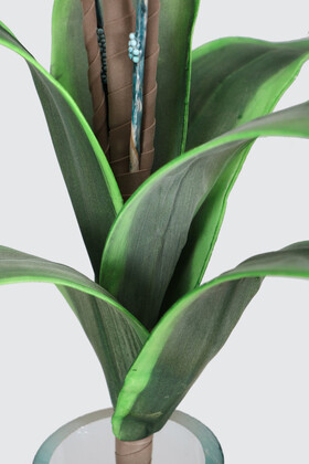 Exclusive Lateks İri Yapraklı Egzotik Uzun Dal 95 cm Mavi - 4