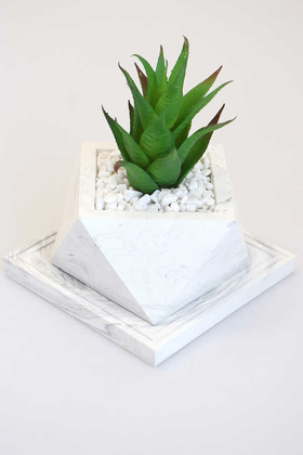 Altlıklı Beton Saksıda Kaliteli Yapay Succulent Kaktüs Set Yeşil - 1