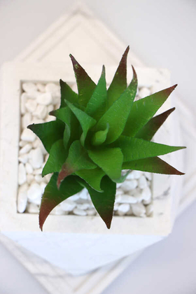 Altlıklı Beton Saksıda Kaliteli Yapay Succulent Kaktüs Set Yeşil - 3