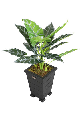 Yapay Alocasia Bitkisi Ahşap Konik Saksıda 85 cm Yeşil-Gri - Yapay Çiçek Deposu