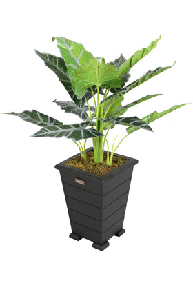 Yapay Alocasia Bitkisi Ahşap Konik Saksıda 85 cm Yeşil-Gri - 3