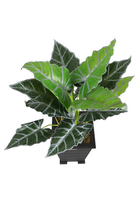 Yapay Alocasia Bitkisi Ahşap Konik Saksıda 85 cm Yeşil-Gri - 4