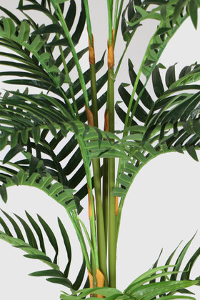 Siyah Saksıda Yapay Areka Palmiye Ağacı 180 cm - 3
