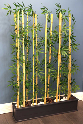 12 Bambulu Ahşap Saksıda Bambu Seperatör (20x100x160cm) - 4