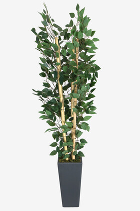 Yapay Benjamin Ağacı 155 cm 4lü Bambu Gövdeli Yeşil (Ahşap Antrasit Saksı) - 2