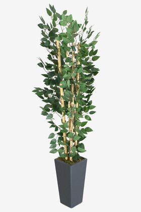 Yapay Benjamin Ağacı 155 cm 4lü Bambu Gövdeli Yeşil (Ahşap Antrasit Saksı) - 1