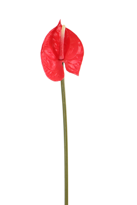 Yapay Yıkanabilir Silikon Antoryum Çiçeği 48 cm Kırmızı - 2