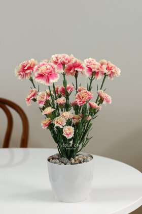 Yapay Karanfil Çiçeği Tanzimi Saksılı 37 cm Pembe - Krem - 2